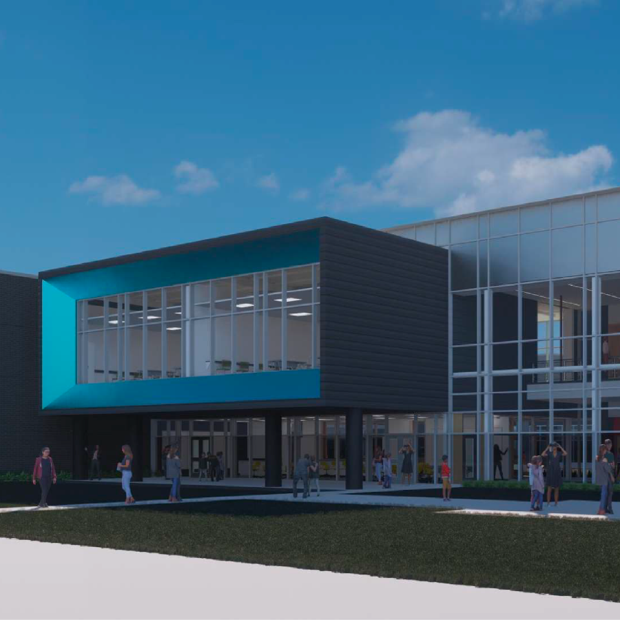 Cheek MS Rendering